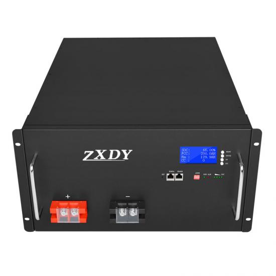Lifepo4 Lithium Ion Battery Pack