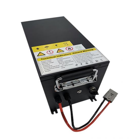 48V Lithium Ion Lifepo4 Battery