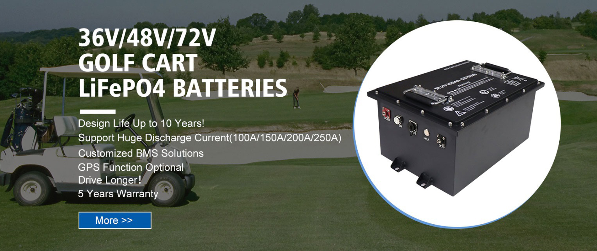 Golf cart battery